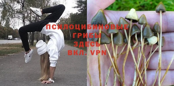 кокаин колумбия Алексин