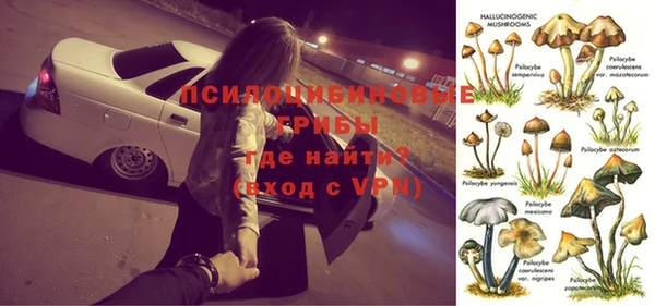 мяу мяу мука Абинск