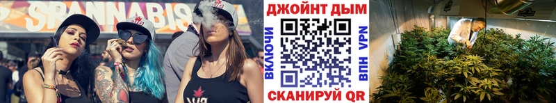 Шишки марихуана конопля  продажа наркотиков  Ивангород 